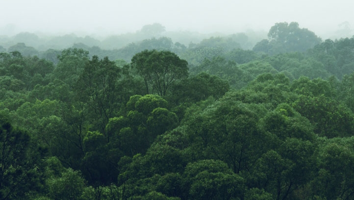 The module is currently focused on the mining and agriculture sectors – two of the most exposed sectors to biodiversity-related risks